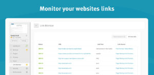 Guest Posting vs Link Insertion